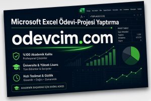 Microsoft Excel Ödevi Projesi Yaptırma