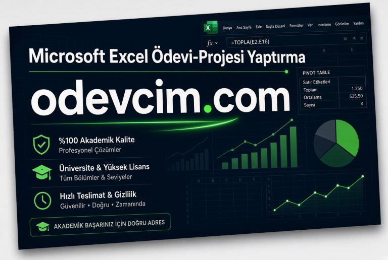 Microsoft Excel Ödevi Projesi Yaptırma