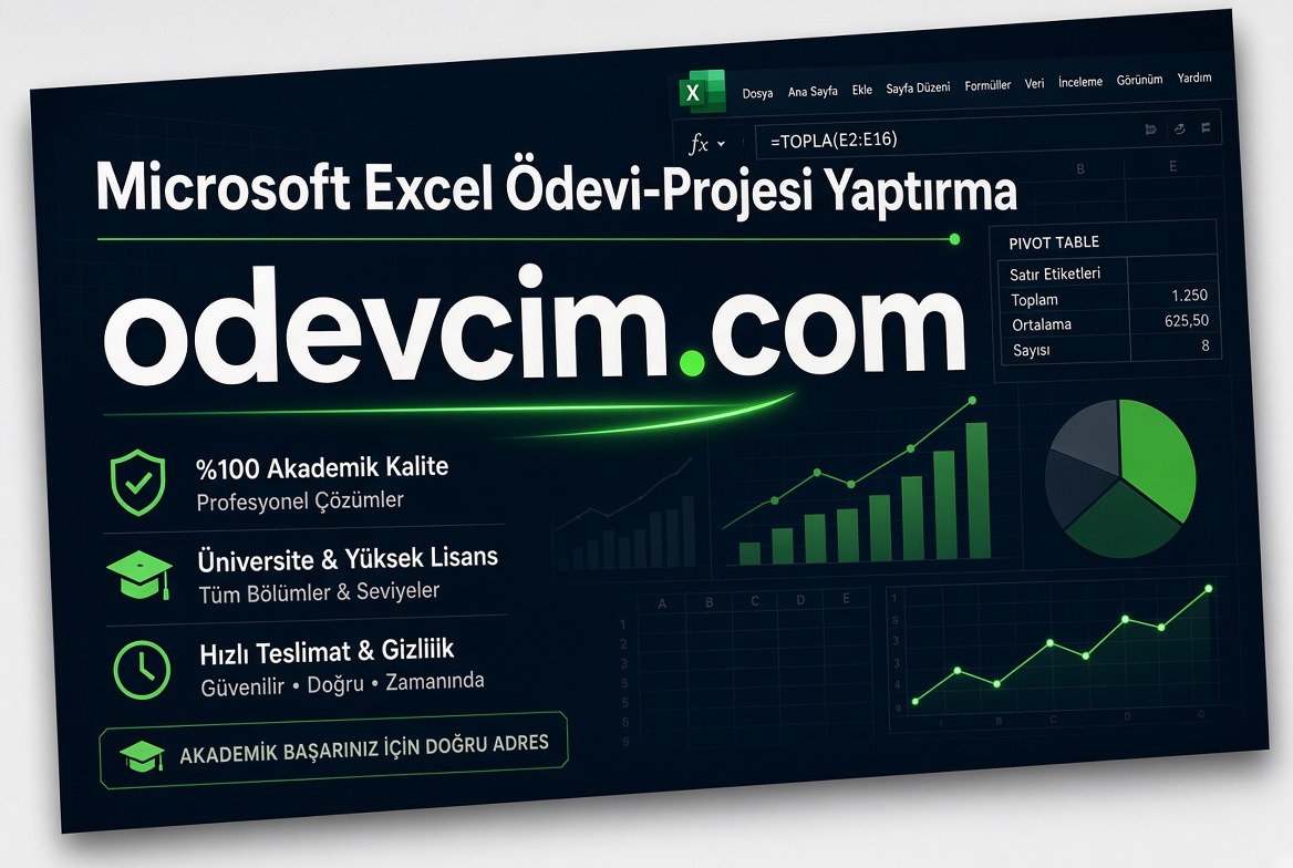 Microsoft Excel Ödevi Projesi Yaptırma
