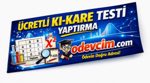 Ücretli Ki Kare Testi Yaptırma