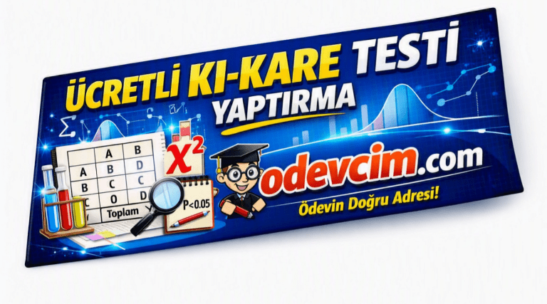 Read more about the article Ücretli Ki-Kare Testi Yaptırma