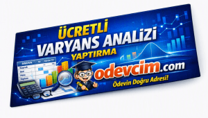 Ücretli Varyans Analizi Yaptırma
