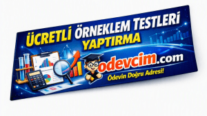Ücretli Örneklem Testleri Yaptırma