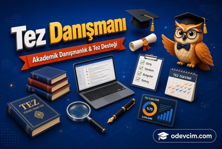 Read more about the article Tez Danışmanı