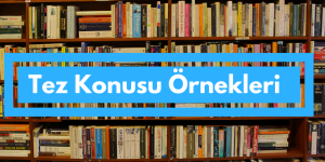 Ekonomi Proje Tez Ödev Makale Konuları