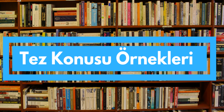 Read more about the article Ekonomi Proje, Tez, Ödev, Makale Konuları