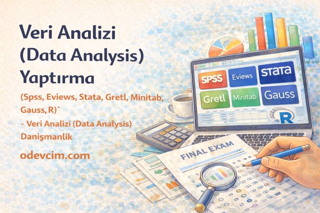 Veri analizi yaptırma - SPSS, Eviews, Stata, Gretl, Minitab, Gauss, R, Python programları ile profesyonel istatistik analiz hizmeti - Ödevcim