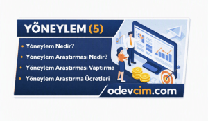 YÖNEYLEM 5  Yöneylem Nedir  Yöneylem Araştırması Nedir  Yöneylem Araştırması Yaptırma  Yöneylem Araştırma Ücretleri