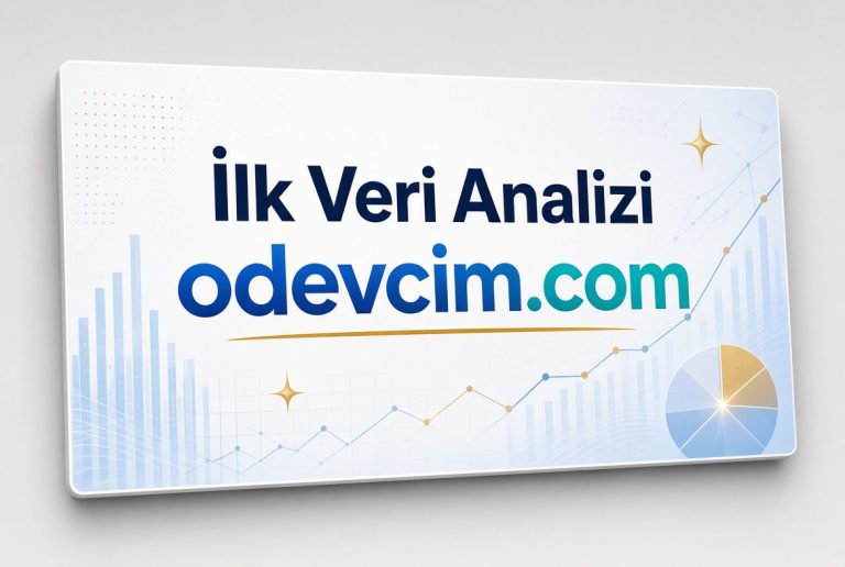 İlk Veri Analizi