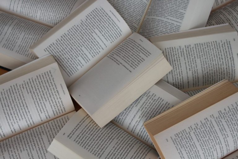 Read more about the article Gerilim ve Gizem Kitap Eleştirisi Yapma