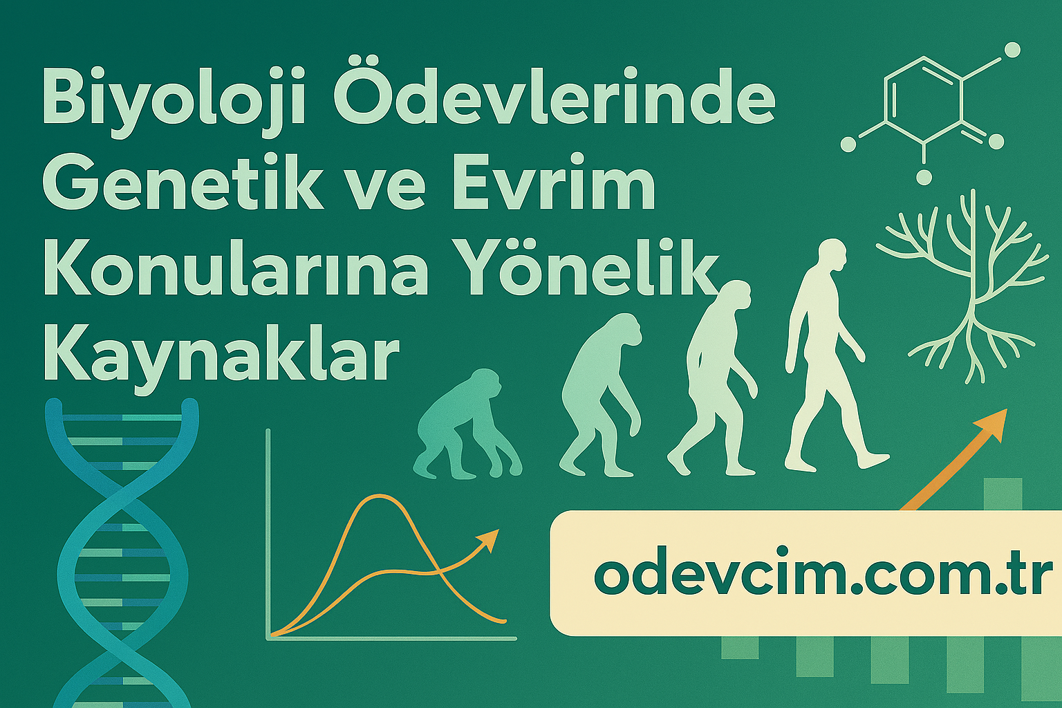 Biyoloji Ödevlerinde Genetik ve Evrim Konularına Yönelik Kaynaklar Ödevcim Ücretli Ödev Yaptırma