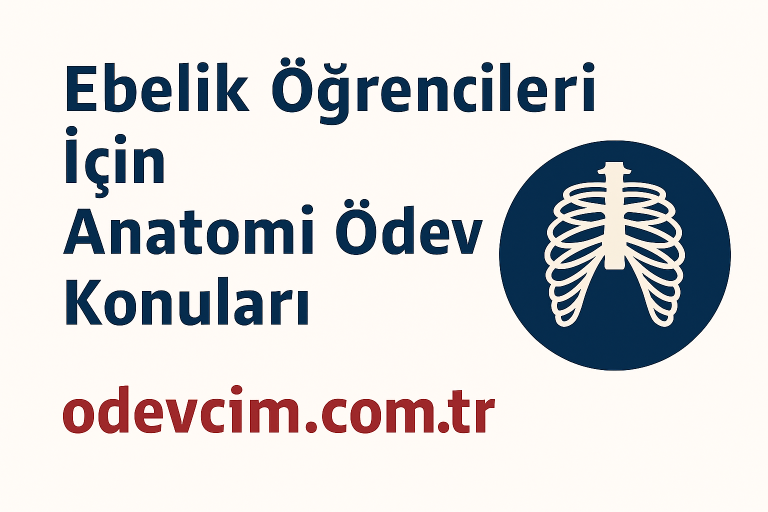 Read more about the article Ebelik Öğrencileri İçin Anatomi Ödev Konuları: Klinik Uygulamaya Yönelik Rehber