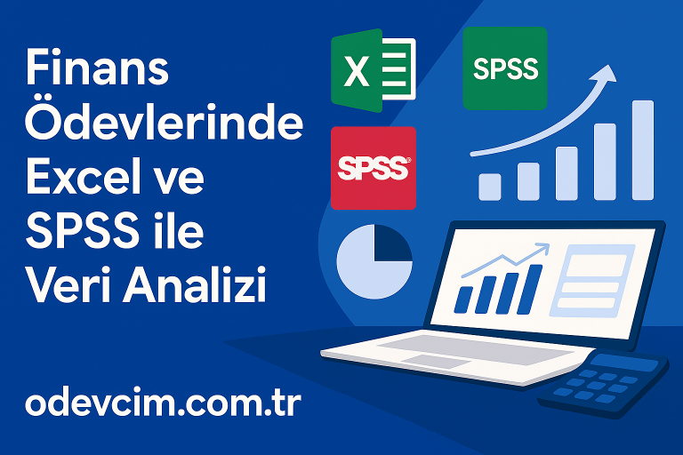 Read more about the article Finans Ödevlerinde Excel ve SPSS ile Veri Analizi