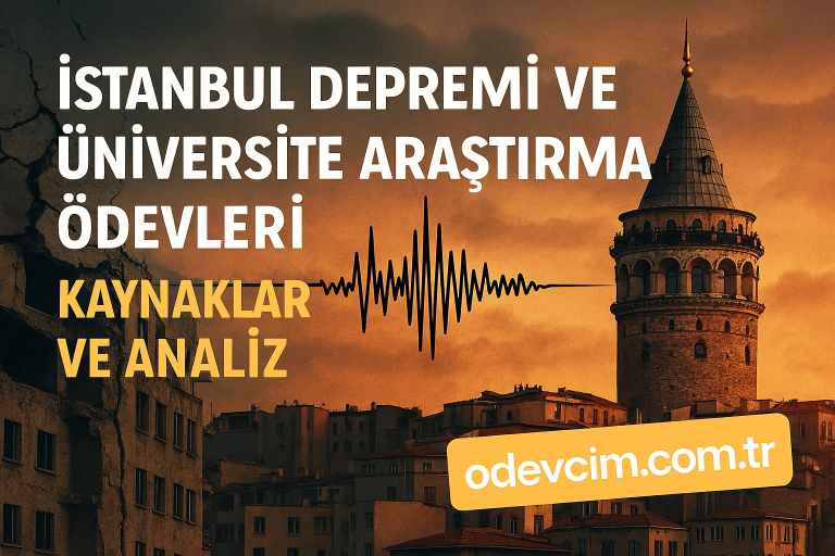 Read more about the article İstanbul Depremi ve Üniversite Araştırma Ödevleri: Kaynaklar ve Analiz