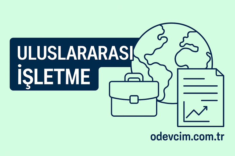 Read more about the article Uluslararası İşletme Bölümü Ödevleri: Küresel Vaka Analizleri