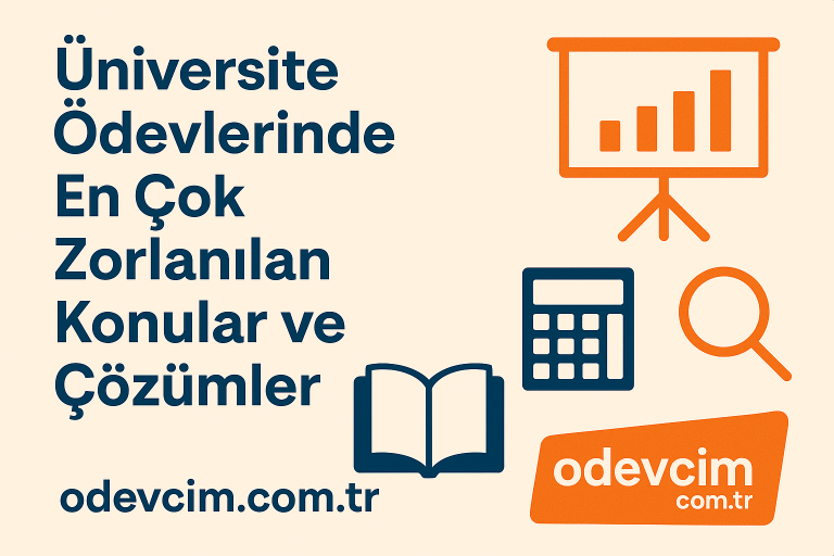 Read more about the article Üniversite Ödevlerinde En Çok Zorlanılan Konular ve Çözümler