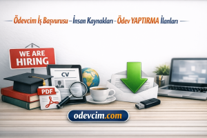 Ödevcim İş Başvurusu