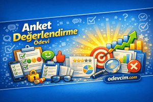 Anket Değerlendirme