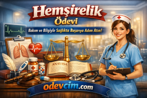 Hemşirelik Ödevi