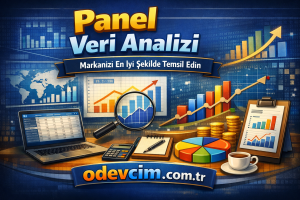 Panel Veri Analizi Görseli
