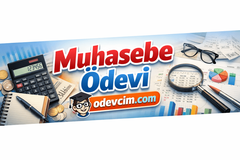Muhasebe Ödevi