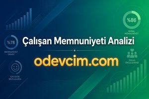 Çalışan Memnuniyeti Analizi