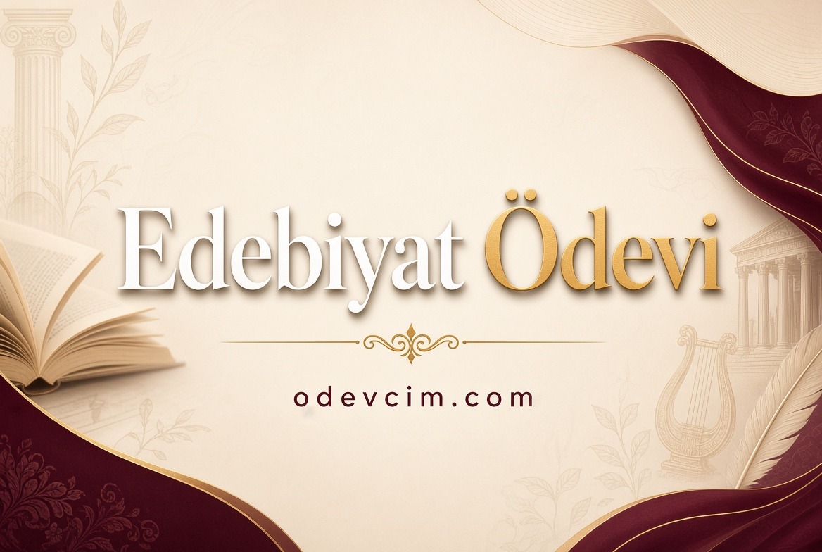 Edebiyat Ödevi