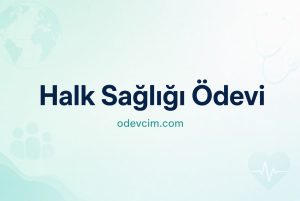 Halk Sağlığı Ödevi