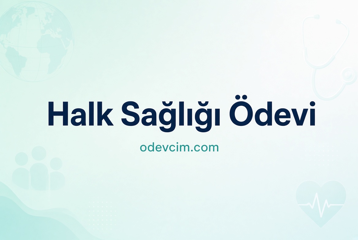 Halk Sağlığı Ödevi