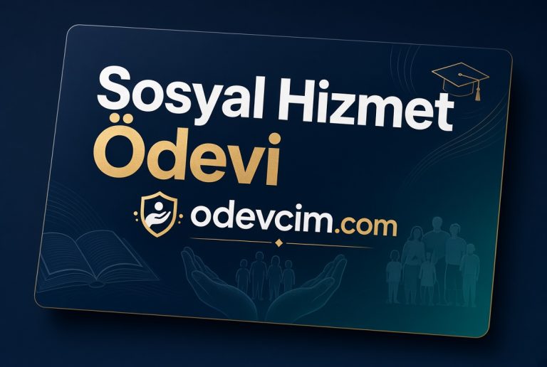 Read more about the article Sosyal Hizmet Ödevi