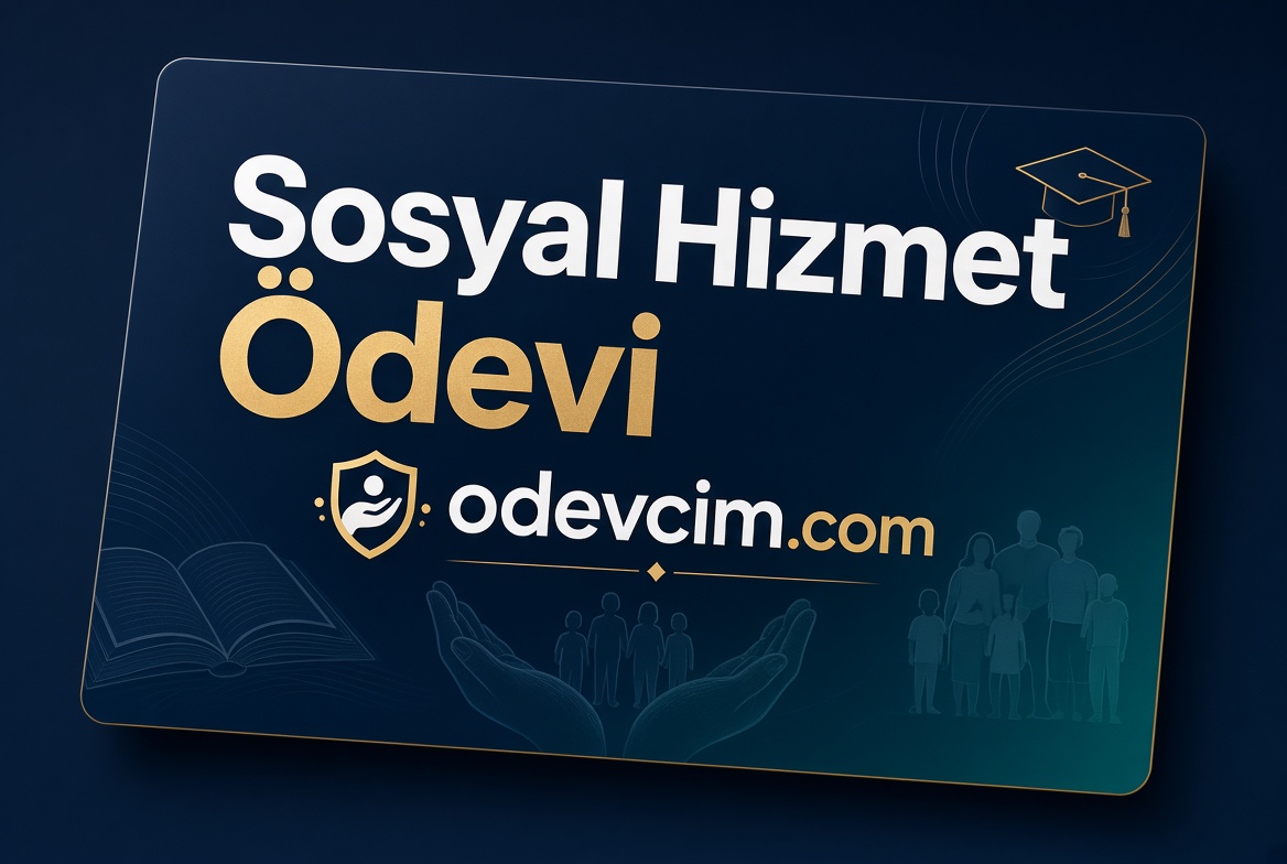 Sosyal Hizmet Ödevi