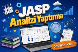 Jasp Analizi Yaptırma