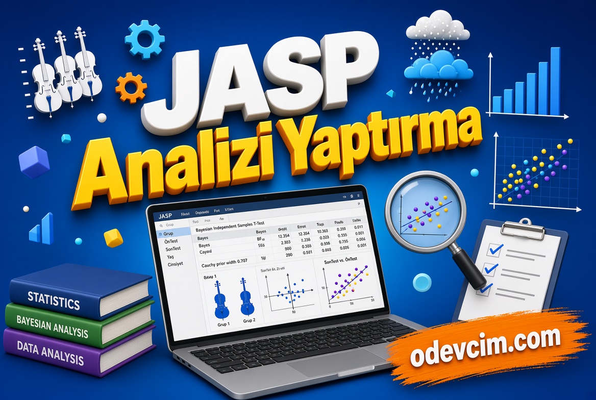 Jasp Analizi Yaptırma