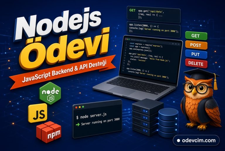 Read more about the article Nodejs Ödevi