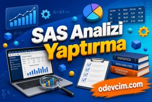 Sas Analizi Yaptırma
