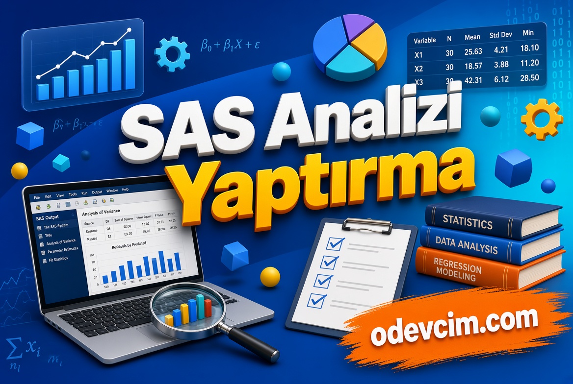 Sas Analizi Yaptırma
