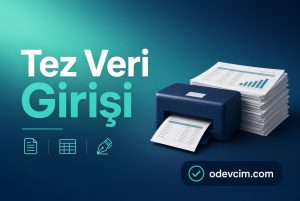 Tez Veri Girişi