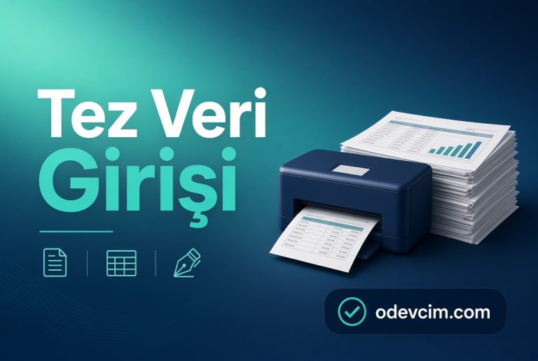 Read more about the article Tez Veri Girişi