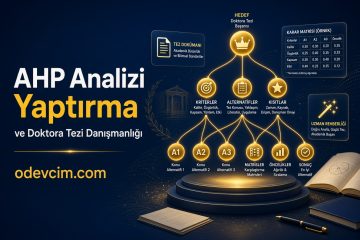AHP Analizi Yaptırma ve Doktora Tezi Danışmanlığı