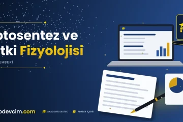 Fotosentez ve Bitki Fizyolojisi  Ödevcim kapak görseli kep simgeli akademik belge illüstrasyonu