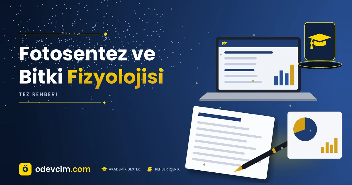 Fotosentez ve Bitki Fizyolojisi – Ödevcim kapak görseli, kep simgeli akademik belge illüstrasyonu