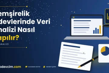 Hemşirelik Ödevlerinde Veri Analizi Nasıl Yapılır  Ödevcim kapak görseli grafik simgeli akademik belge illüstrasyonu