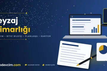 Peyzaj mimarlığı rehberi  Ödevcim kapak görseli park planı ve ağaç illüstrasyonu